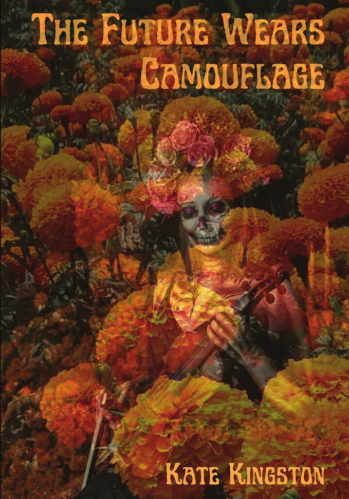 The Future Wears Camouflage by Kate Kingston